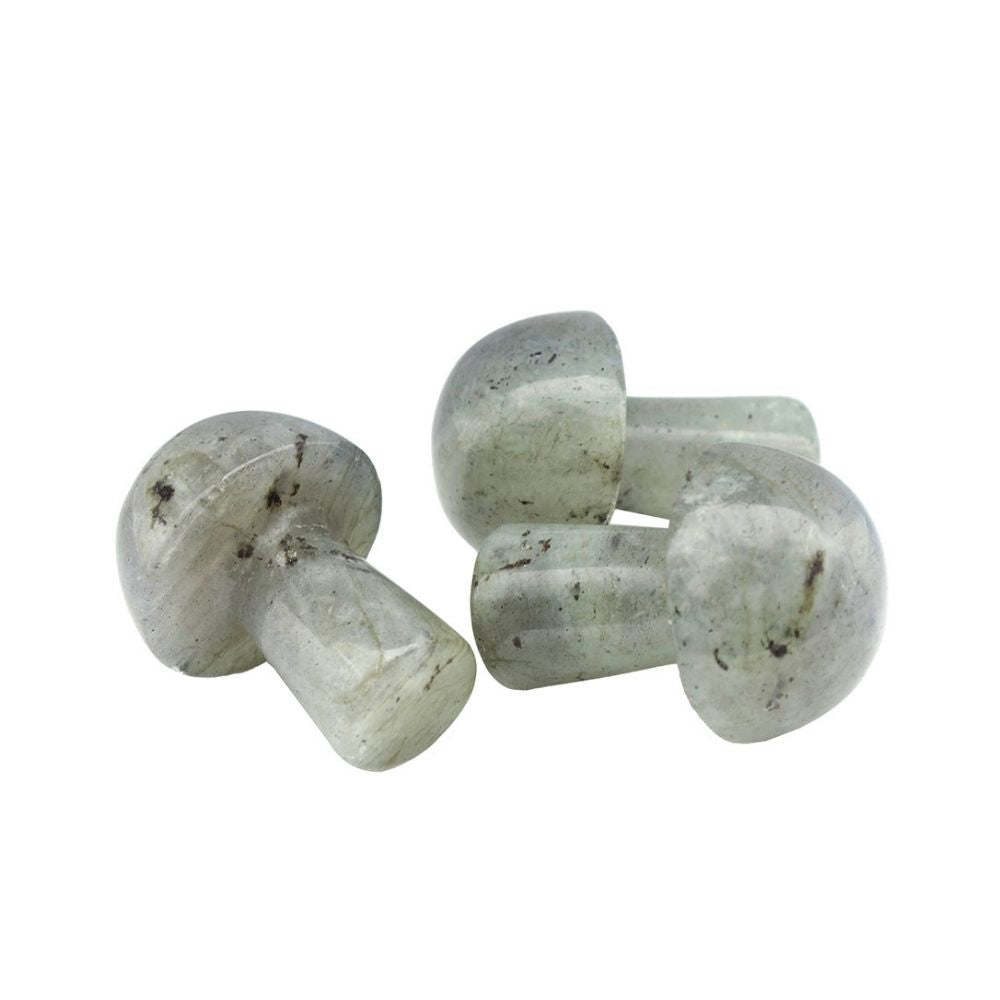 Labradorite Mushroom - Mini