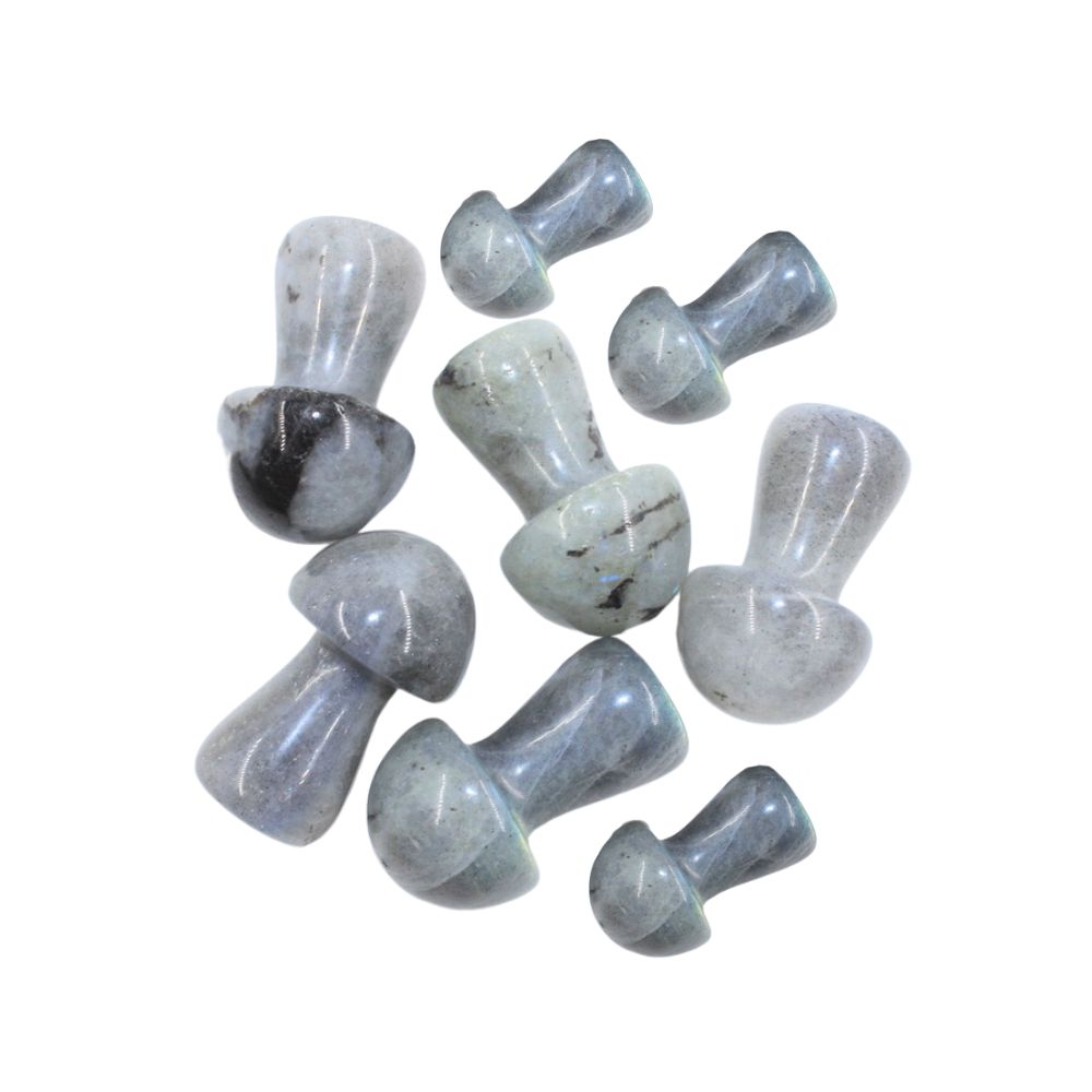 Labradorite Mushroom - Mini